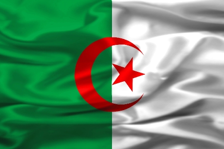الجيش الجزائري يضبط كمية من الأسلحة الحربية بجنوب البلاد