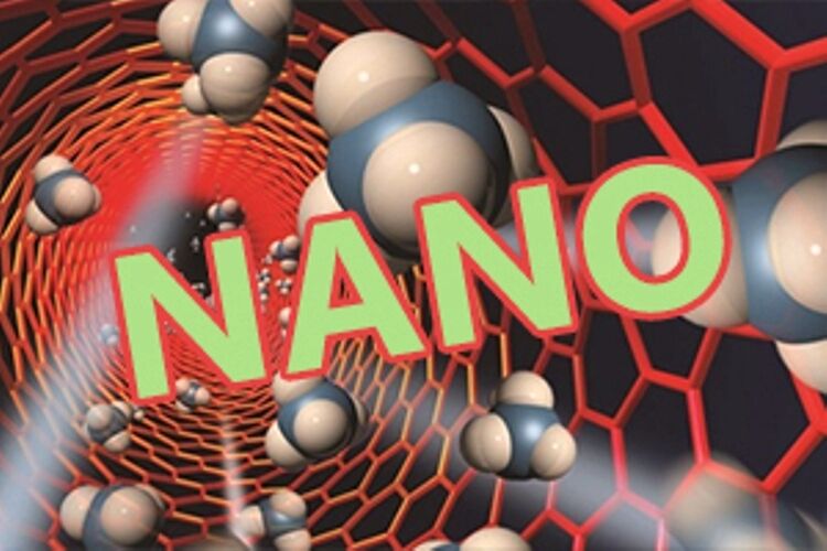 شركة ايرانية تصدّر منتجاتها النانوية الى الاسواق العالمية