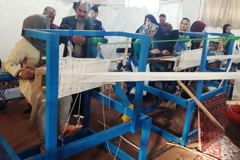 مسؤول بوزارة العمل : لتعزيز طاقات التعاونيات في مواجهة الحظر