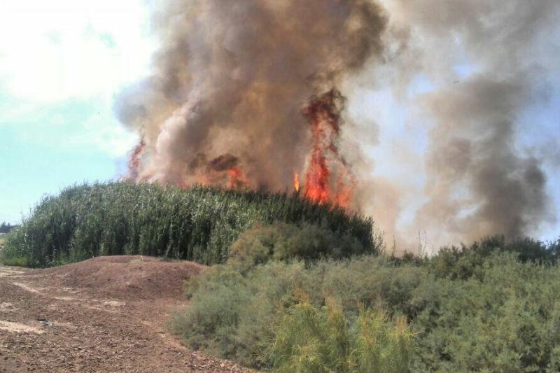 اخماد الحريق في هور العظيم