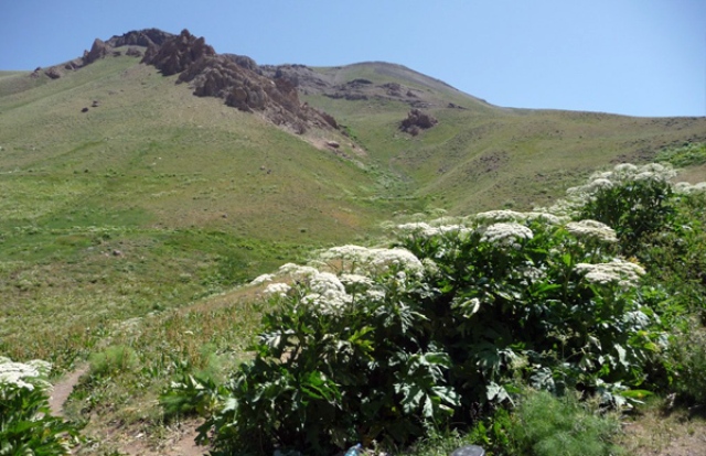 سوتک، بهشتی پنهان در البرز مرکزی