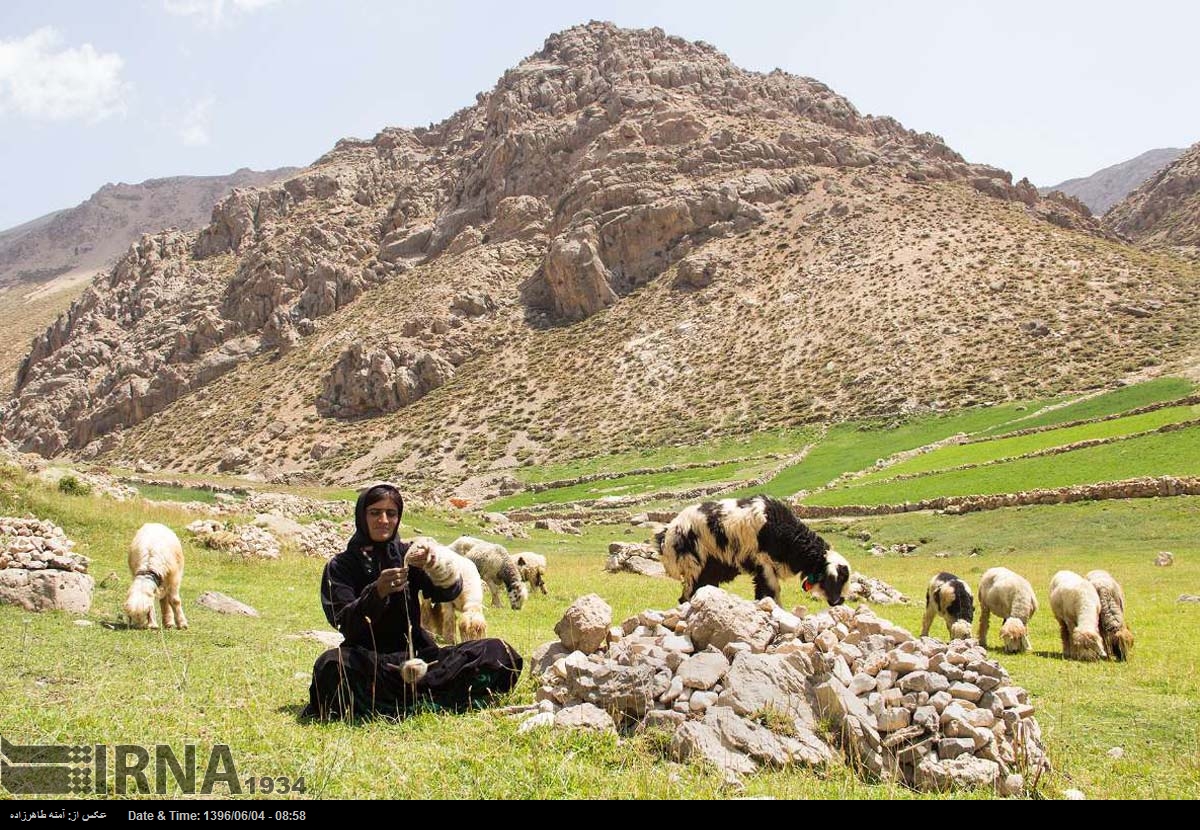 « تابستان کوهرنگ »