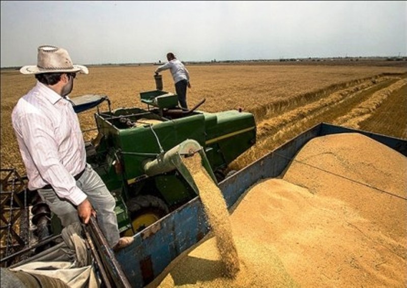 حصاد 10.5 مليون طن من القمح بنهاية العام الحالي