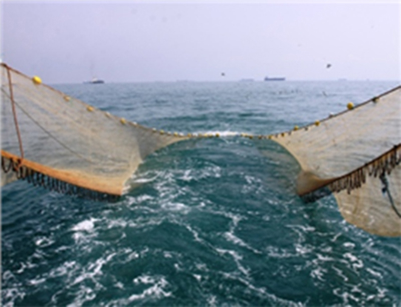 لم يصدر اي تصريح حول قيام السفن الصينية بالصيد في بحر عمان
