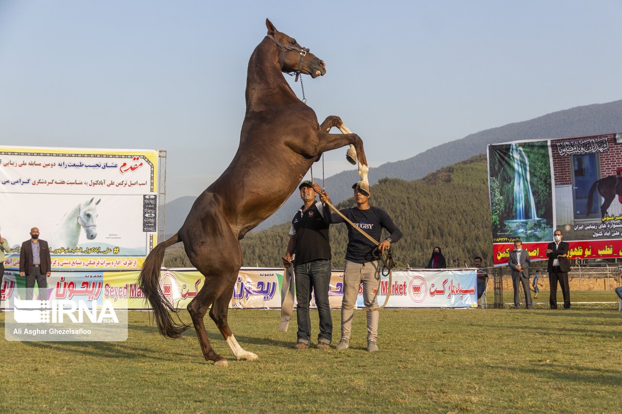 المسابقة الوطنية لجمال الخيول التركمانية في محافظة جلستان شمالي البلاد