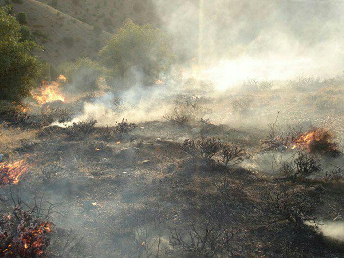 40 هکتار مراتع بخش لاریجان آمل در آتش سوخت