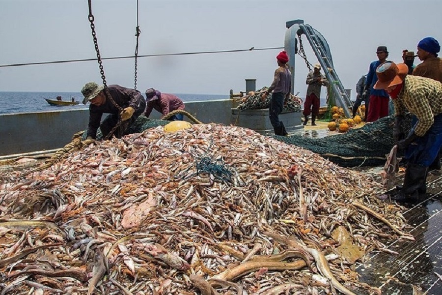 الصين: لا توجد سفن صيد صينية في المياه الايرانيه