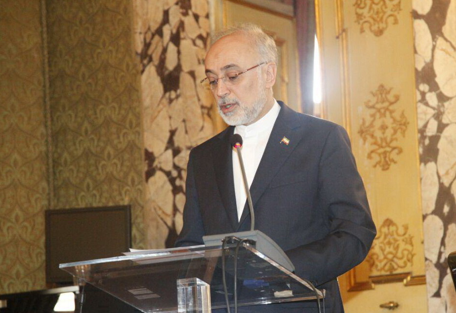 صالحی : الاتفاق النووی شكل انطلاقة لحقبة جدیدة من التعاون بین ایران والمجتمع الدولی