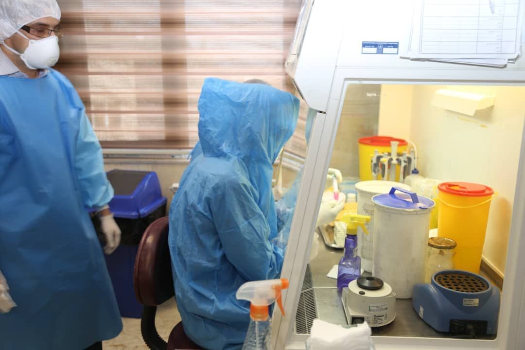 مندوب الصحة العالمية يؤكد تطور قدرات ايران لتشخيص فيروس كورونا