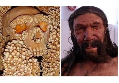 هیکل عظمی عمره 150 ألف سنة والعلماء یتمکنون من اعادة تشکیل الوجه
