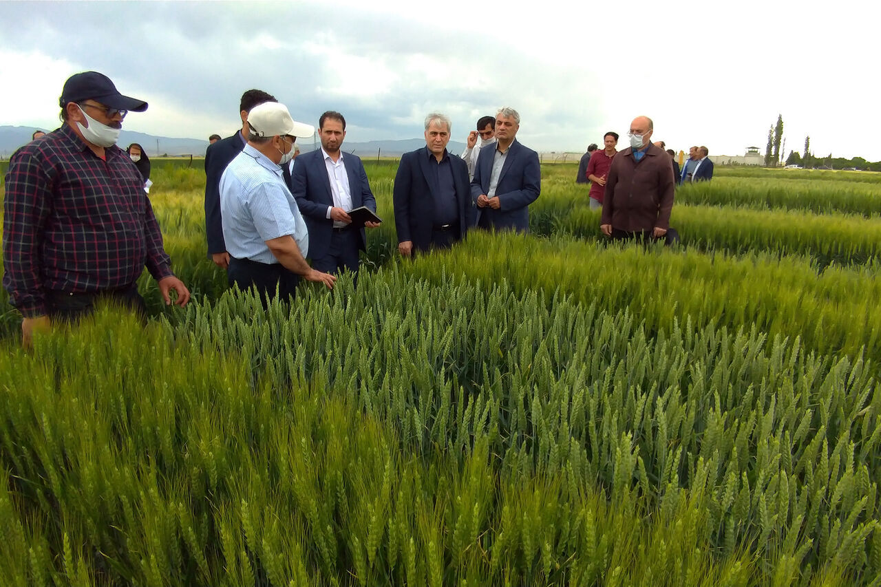 مساعد وزير الزراعة الايراني: نعمل على خفض الواردات وتعزيز الانتاج الداخلي