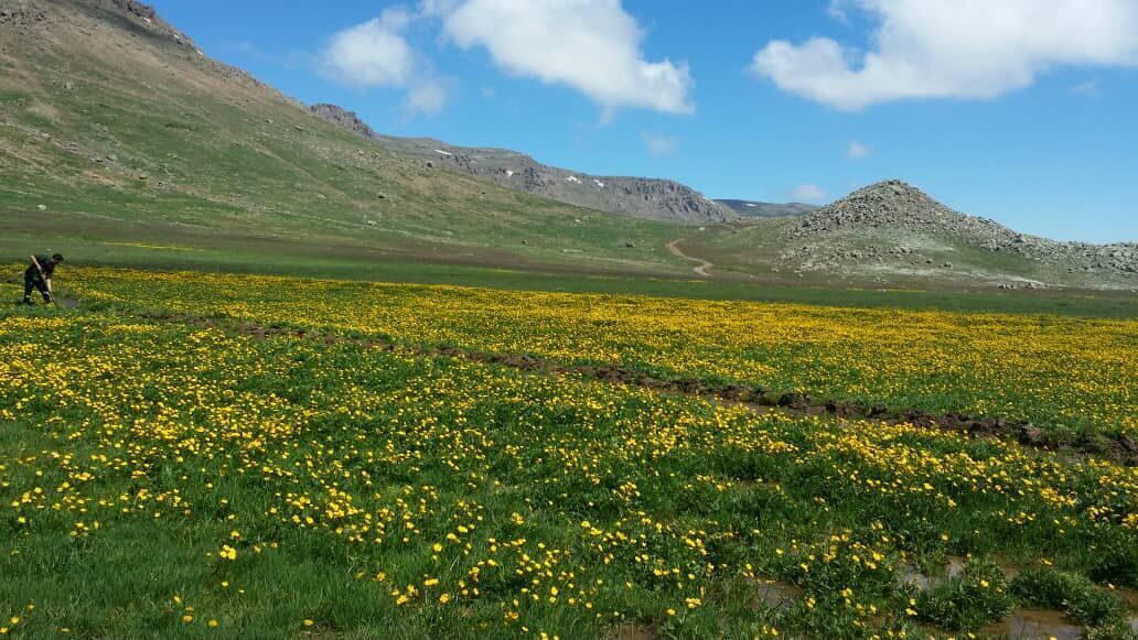 جمال الطبيعة في منطقة خطیرکوه في سمنان