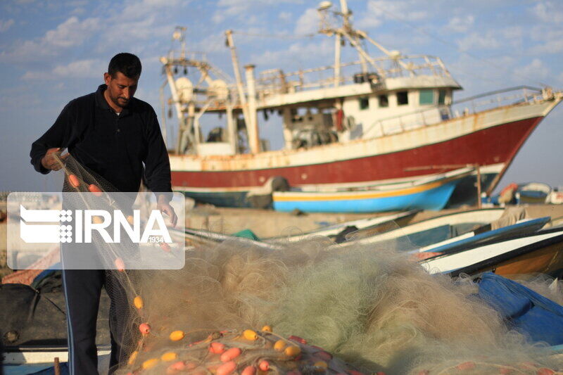 نمو صيد ايران للاسماك الفانوسية من بحر عمان بمقدار 33%