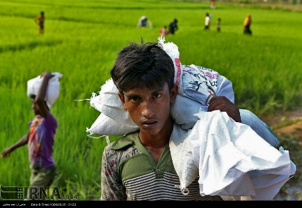 إيران ترسل غداً الشحنة الثانية من المساعدات الإنسانية لمسلمي ميانمار