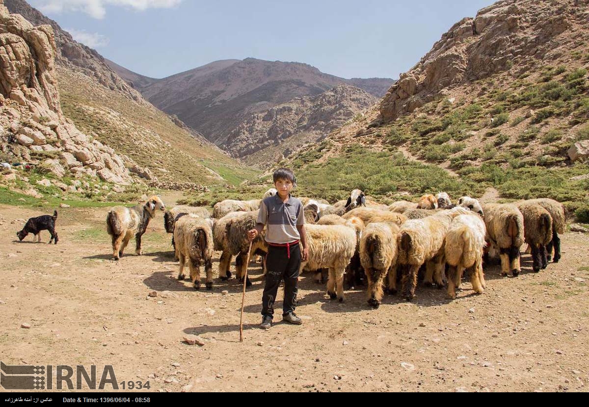 « تابستان کوهرنگ »