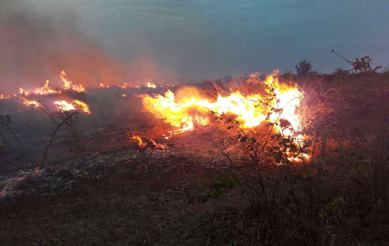 الامطار اطفات النيران المندلعة في مستجمع 'ميانكالة' المائي شمال ايران