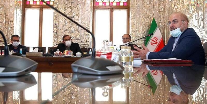 رئيس مجلس الشورى الإسلامي ووزير الخارجية يبحثان آخر التطورات الدولية