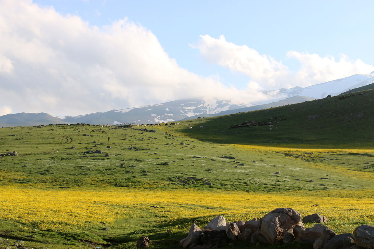 طبيعة الربيع فی سفوح جبال سبلان بمدينة اردبيل