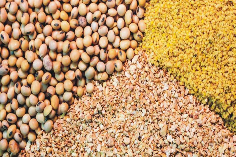 مسؤول بالخارجية: العقوبات لاتشمل علائق الحيوانات