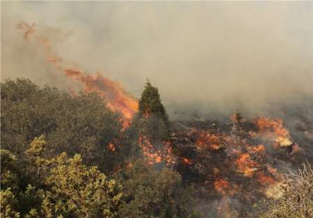 نشوب حريق في منتزة 'كلستان' الوطني