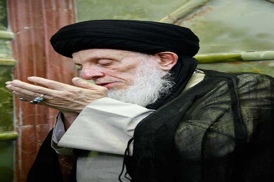 المرجع الحكيم: اتباع اهل البيت (ع) أصبحوا محط احترام وتقدير شعوب العالم