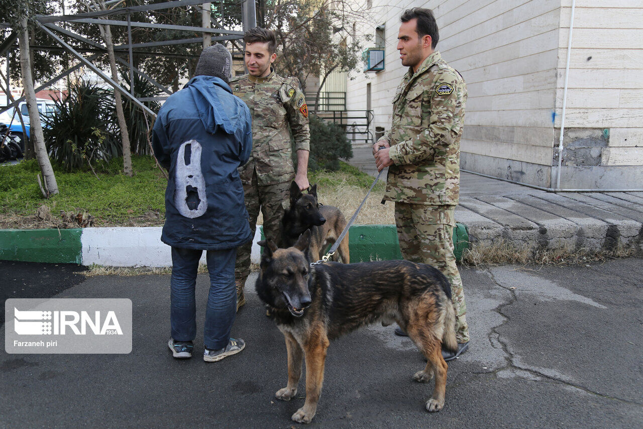 إنشاء مركز أقليمي في إيران لتدريب الكلاب البوليسية لكشف المخدرات