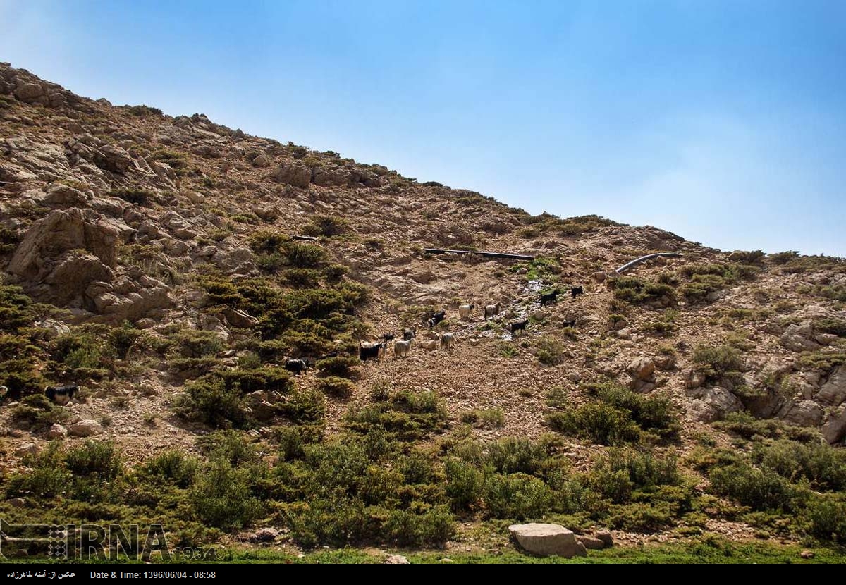 « تابستان کوهرنگ »